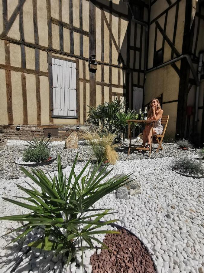 Le Papillon De La Cathedrale - Calme - Jardin - Wifi Apartment Troyes Bagian luar foto